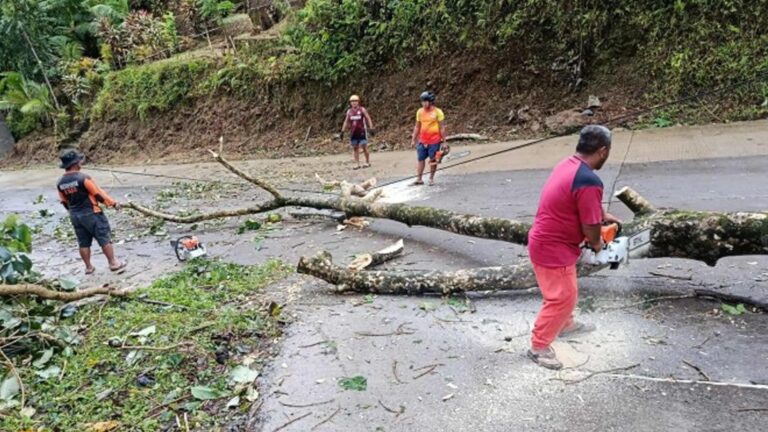 DA Releases PHP133 Million Aid For Farmers Hit By ‘Crising’, ‘Habagat’