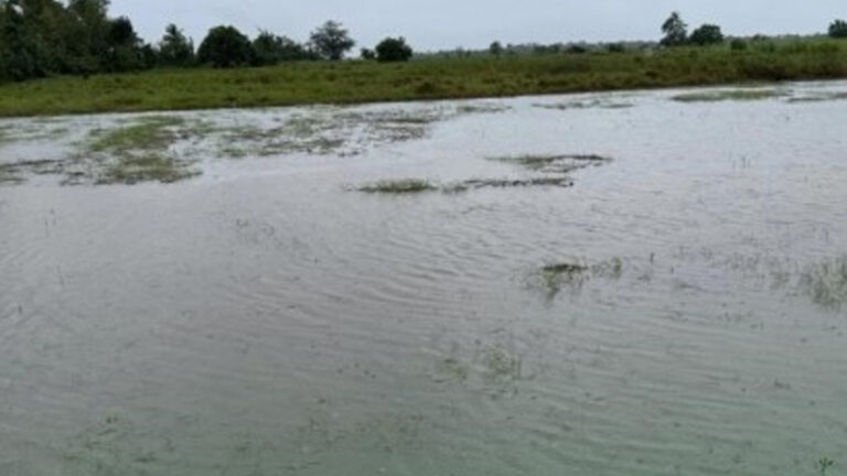 Department Of Agriculture Readies PHP495 Million Aid For Calamity-Affected Farmers