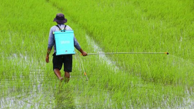 President Marcos Vows Intensified Food Security Programs