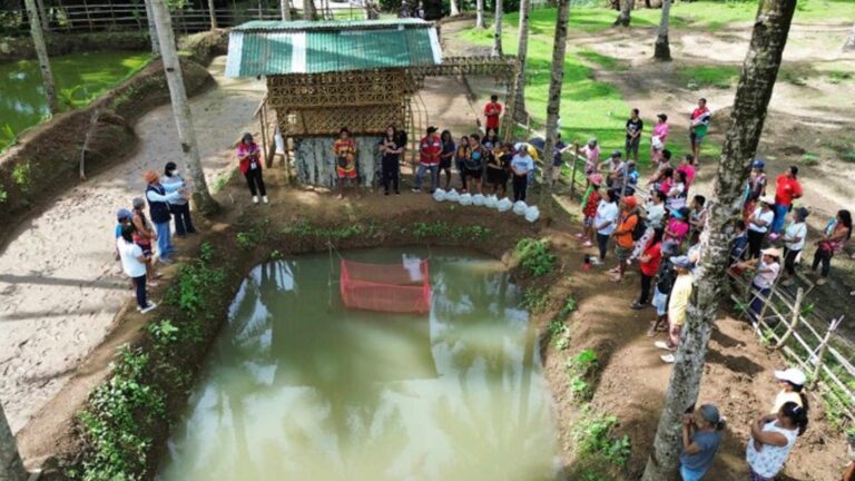 BFAR Antique Turns Over Fingerlings To Support Risk Resiliency Program