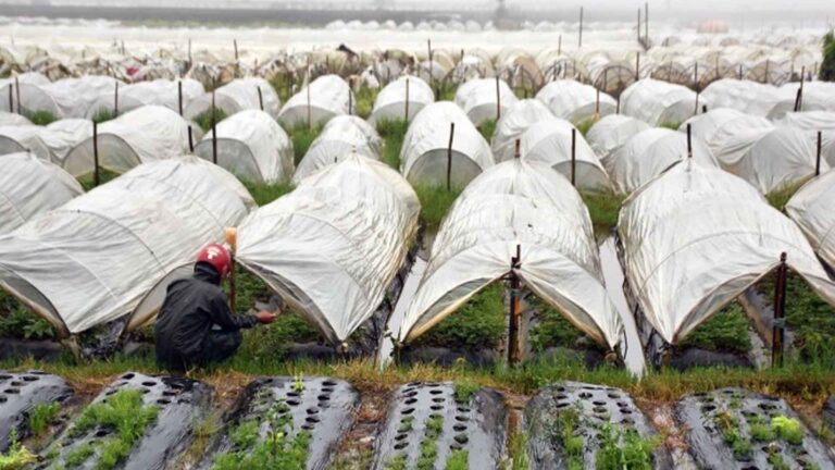La Trinidad Flood Control Project Benefits Farmers