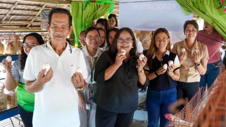 DSWD Allocates PHP17 Million For Sustainable Livelihood Projects In Bago City