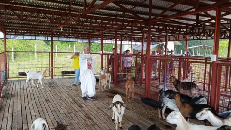 Department Of Agriculture Turns Over PHP3 Million Goat Multiplier Farm To Antique Coop