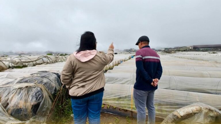 Department Of Agriculture To Distribute Seeds, Loan Aid For Farmers Hit By Rains