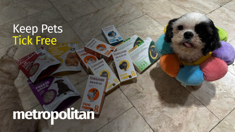 Chews Wisely: 3-Month Parasite-Free With Bravecto