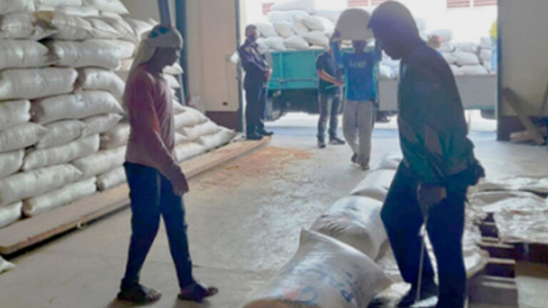 5M Farmers To Benefit From PHP20 Rice Program, Says Department Of Agriculture Chief