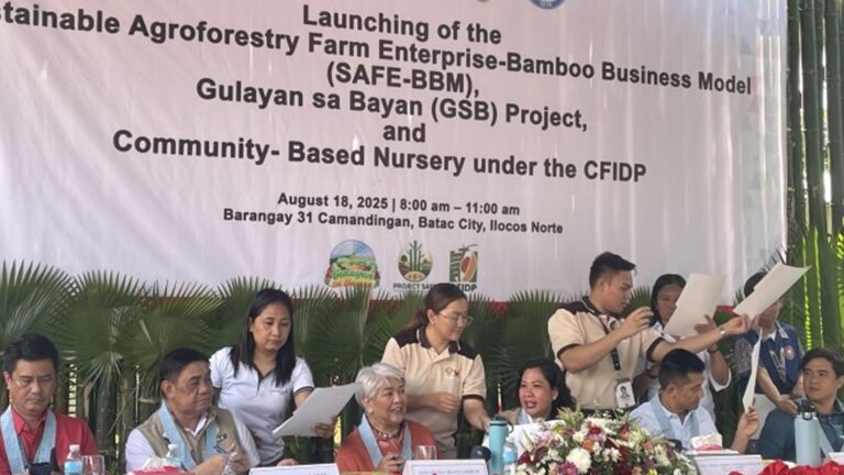 Beema Bamboo Takes Centerstage In Ilocos Agroforestry Project