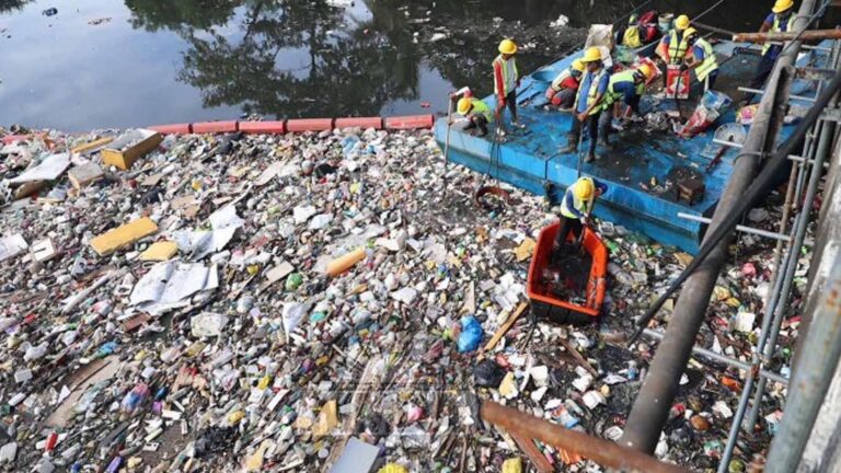 Public Urged To Cultivate Discipline In Waste Management