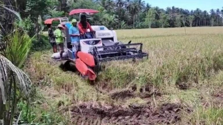 Department Of Agriculture Chief Urges Senators To Amend RTL, Support Agri Investments