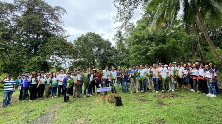 Iloilo Province Eyes To Revitalize Coconut Industry