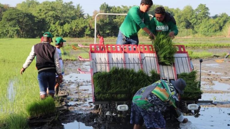 New Agri, Fisheries Network To Boost Farming In Ilocos Region