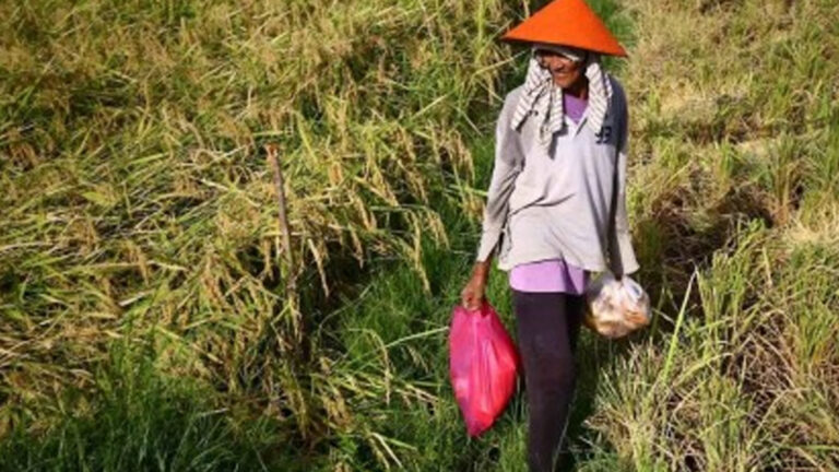 Secretary Tiu Laurel Welcomes Budget Realignment To Support Farmers