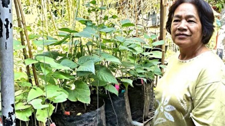 DA-CAR Allots PHP8 Million To Boost Urban Agriculture In Baguio
