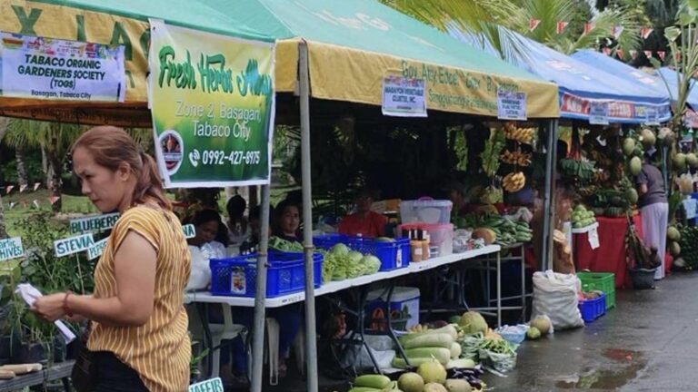 ‘There Is Future In Agriculture’: School Fest Promotes Agri Courses