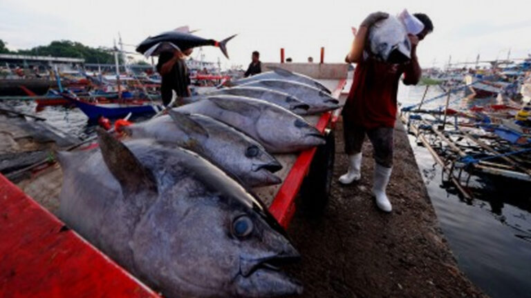 Department Of Agriculture Urges Tuna Industry To Unite, Embrace Sustainability