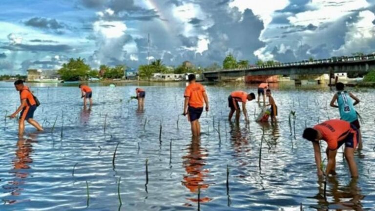 PCG Leads Mangrove Planting To Preserve Coastlines In Surigao