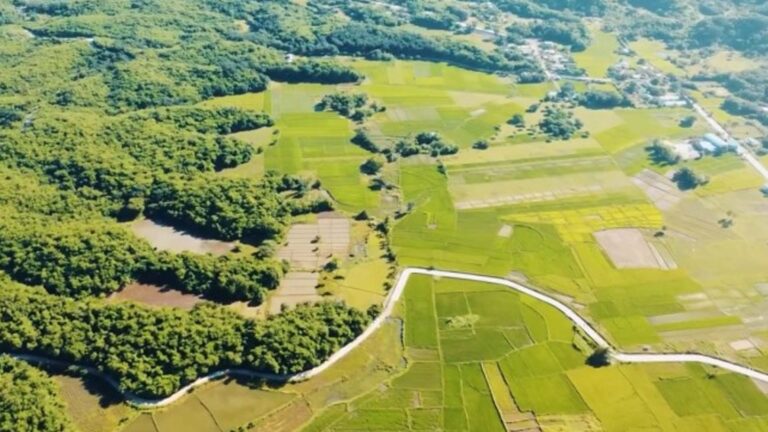 ARBs Benefit From PHP40 Million Farm-To-Market Road In Ilocos Norte Town