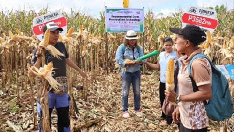 Bukidnon Leads 2024 Agrifishery Output Among Provinces