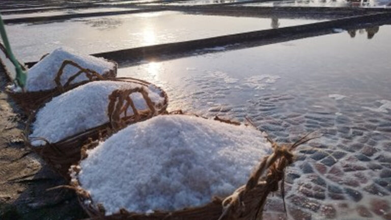 Pangasinan Salt Farm Targets To Produce 8.5K Metric Tons Amid Challenges