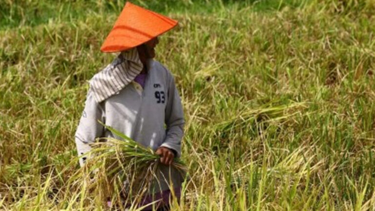 Speaker Dy Announces PHP7 Thousand Cash Aid For Farmers, Highlights RICE Act