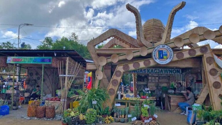 19th Dinagat Charter Day Highlights Local Agri-Fishery Products