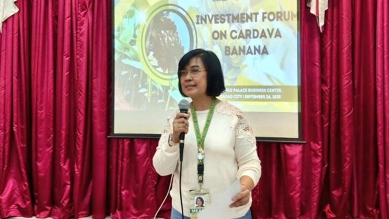 DA-11 Promotes Cardava Banana Industry Via Forum