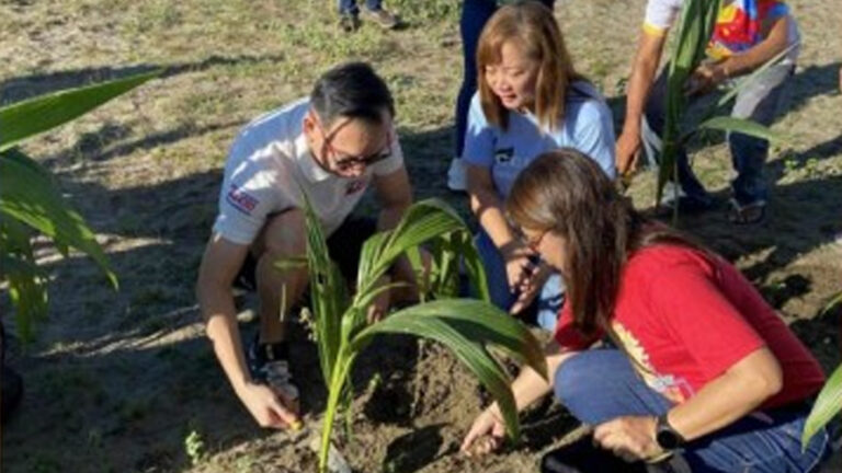Laoag Plants 600 Coco Seedlings For Industry Revitalization Program