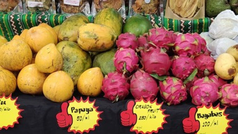 Government-Assisted Negrense Farmers Sell Products Directly To Mall Goers