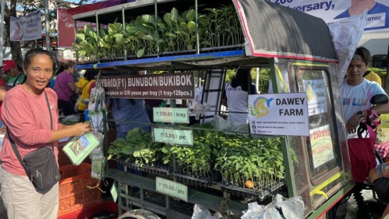 Ilocos Norte Rolls Out Fuel Assistance Program For Farmers
