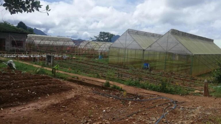 Farm School Ensures Hands-On Training For Antique Learners
