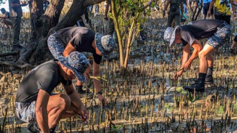 BJMP, Local Offices Unite To Restore Mangroves In Southern Palawan