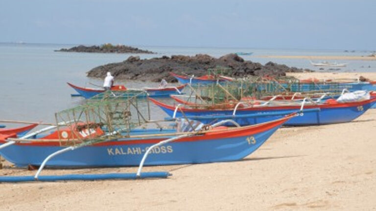 DSWD’s KALAHI-CIDSS Extends PHP2 Million Aid To Fishers’ Group In Iloilo