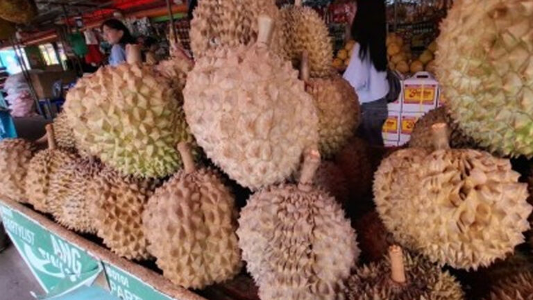 Durian Summit To Equip Davao Farmers For Global Market