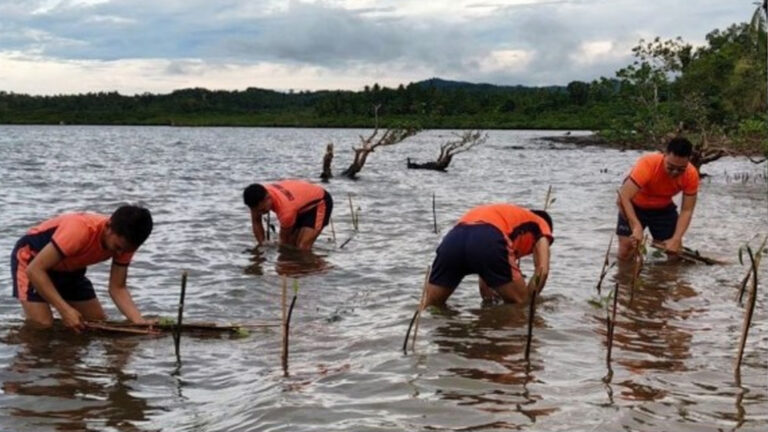 Coast Guard Plants 1.5K Mangroves In Surigao Del Norte