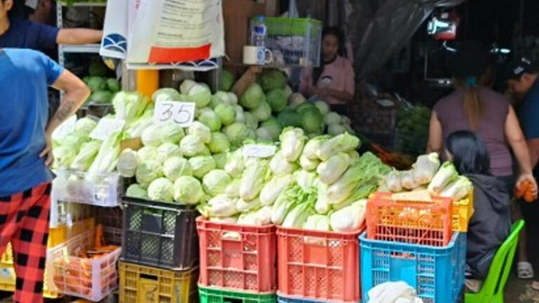 Benguet Assures Enough Vegetable Supply For Holidays