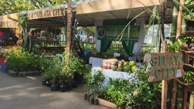Almost 50 Exhibitors Showcase Negros Organic Products