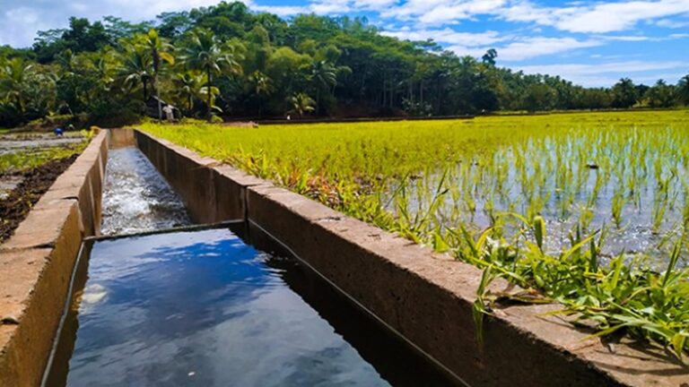 Proposed 2026 NIA Budget To Boost Irrigation Network, Crop Yield