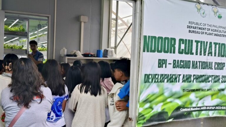 DA-CAR Entices Youth To Engage In Agri To Boost Food Sustainability