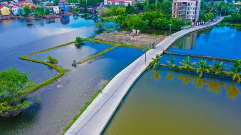 Department Of Agriculture Plans Major Farm-To-Market Roads In Mindanao