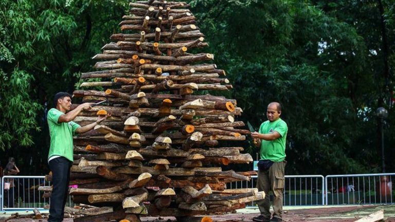 Kids, Environment Groups Support Call For Simple, Meaningful Christmas
