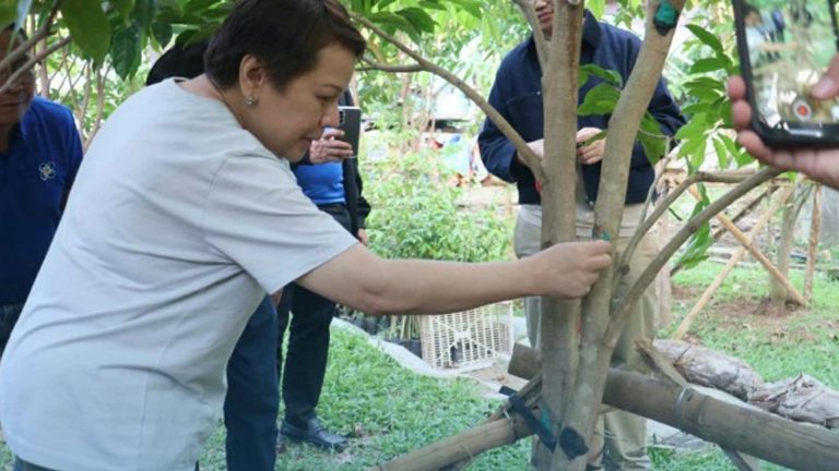 DOST To Develop Agarwood Industry In Biliran