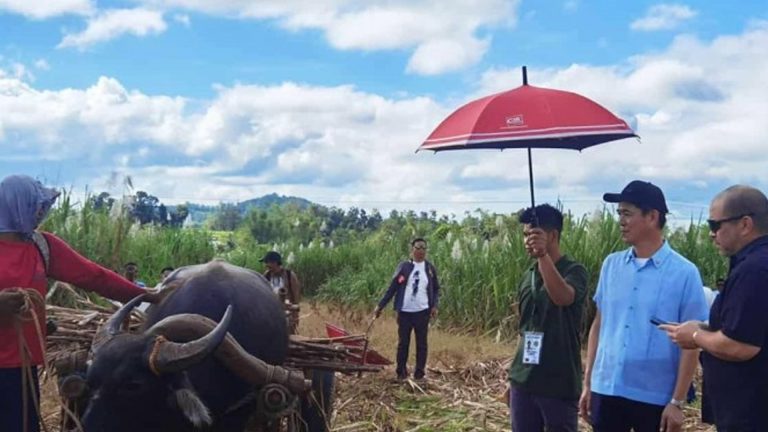 SRA Sets Up Demo Site For Japan Deep Planting Tech In Negros Occidental