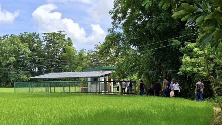 Solar-Powered Irrigation Boosts Yields, Cuts Costs For Capiz Farmers