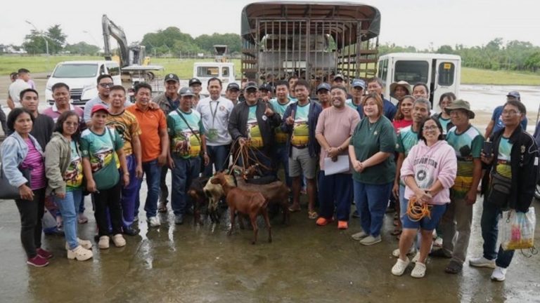 Goat Industry Gets Boost In Tuguegarao City