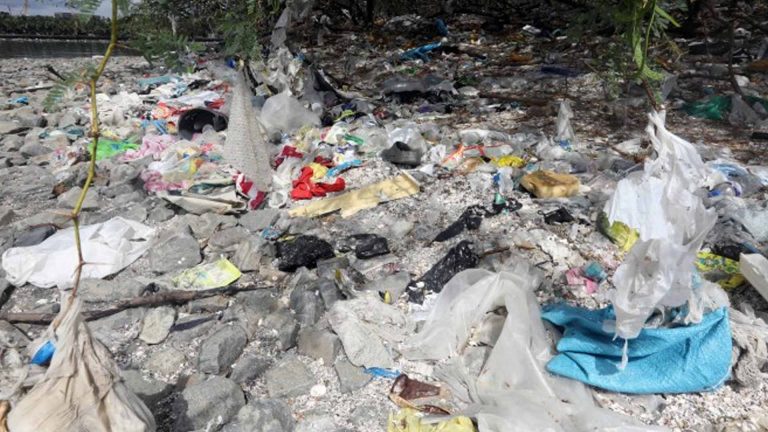 Senator Legarda Urges Stronger National Resolve To Combat Waste Crisis