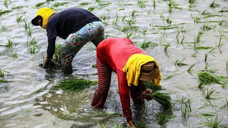 3M Farmers, Fishers To Enjoy Insurance Under Expanded Fund