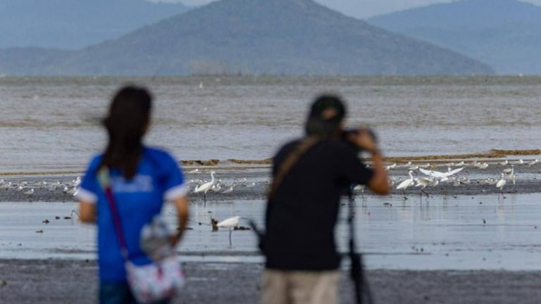 Negros Occidental Conducts Waterbird Count For Continued Wetlands Conservation