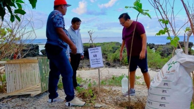 Talisay Saplings Planted In Ilocos Norte Protected Landscape