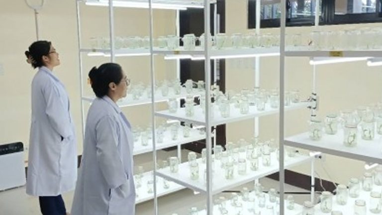 DOST Launches Abaca Tissue Culture Laboratory In Southern Leyte