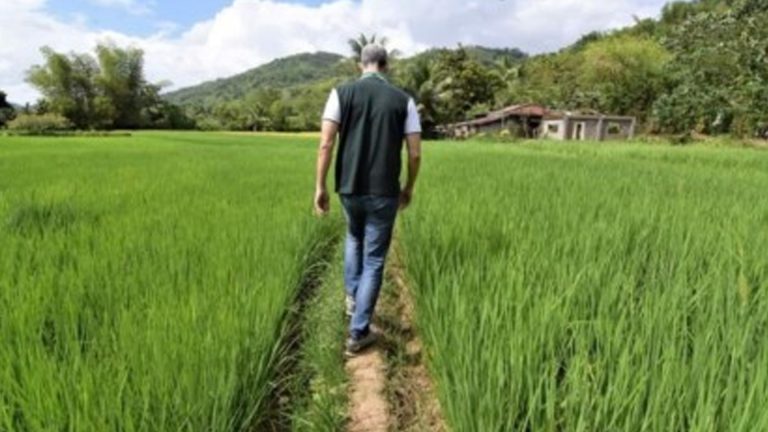 DA Eyes 300K Metric Tons Rice Imports As Stakeholders Vow Support For Farmers